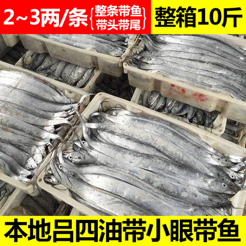 吕四新鲜冷冻小眼油带鱼2-3两/整条黄海野生刀鱼海鲜整箱10斤批发