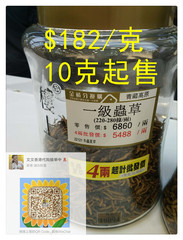 香港代购楼上i藏高原一级虫草 1g 冬虫夏草10g起售 220-280条/两