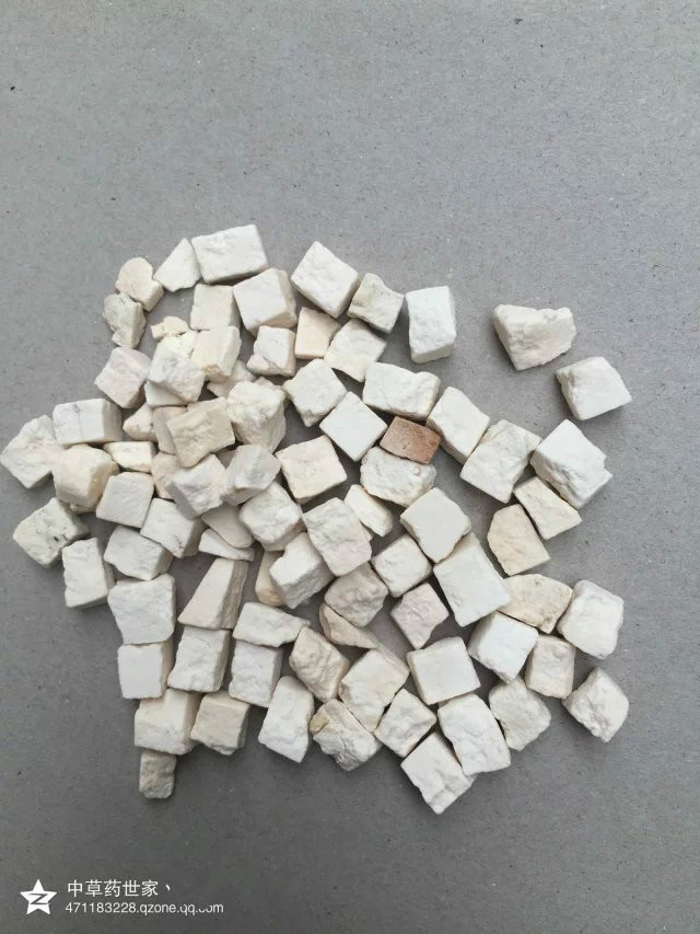 茯苓中药材