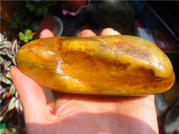 600克新疆和田玉籽料红皮黄沁皮原石玩料