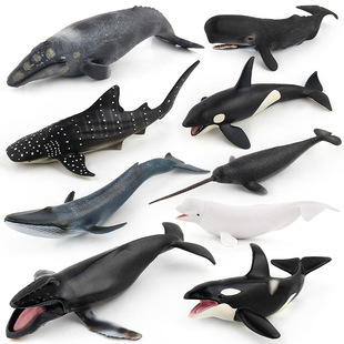 9种大海洋动物模型抹香鲸蓝鲸虎鲸鲨白鲸独角鲸座头鲸鱼摆件玩具