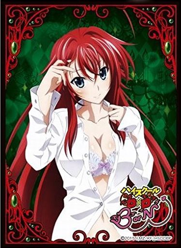 恶魔高校dxd born highschool dxd 莉雅丝莉亚丝吉蒙里部长卡套