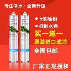 爱惠ef-900p净水器滤芯 自来 厨房通用活性炭滤芯过滤器