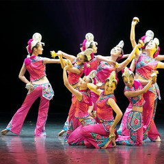 彝族舞蹈服 跳弦演出服装 少数民族舞蹈服 新款彝族舞蹈演服装