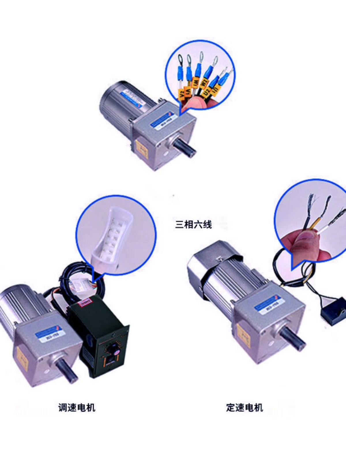 台力电机40W调速定速马达单相AC220配减速箱5GN-100K带调速器支架