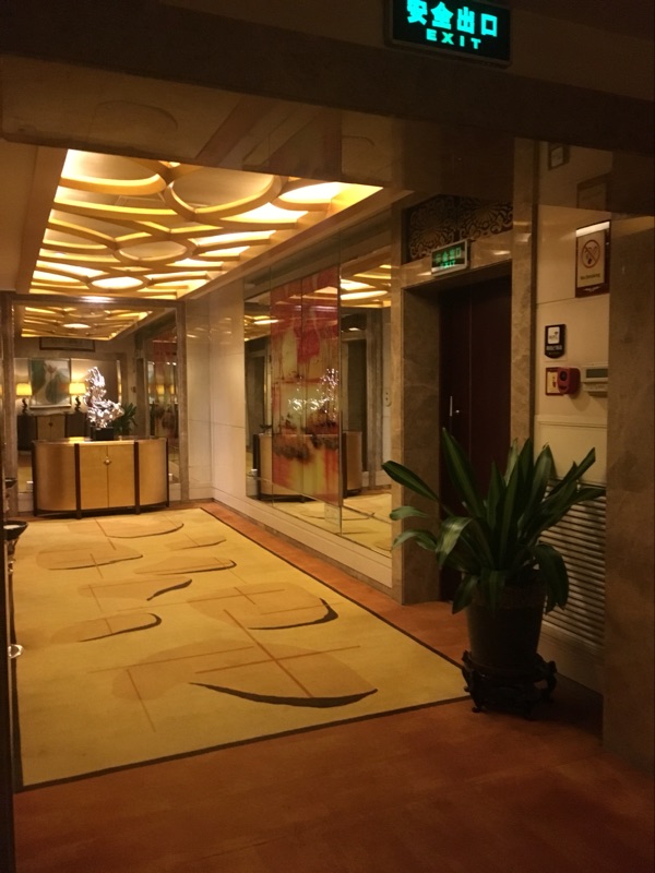 保定卓正国际酒店