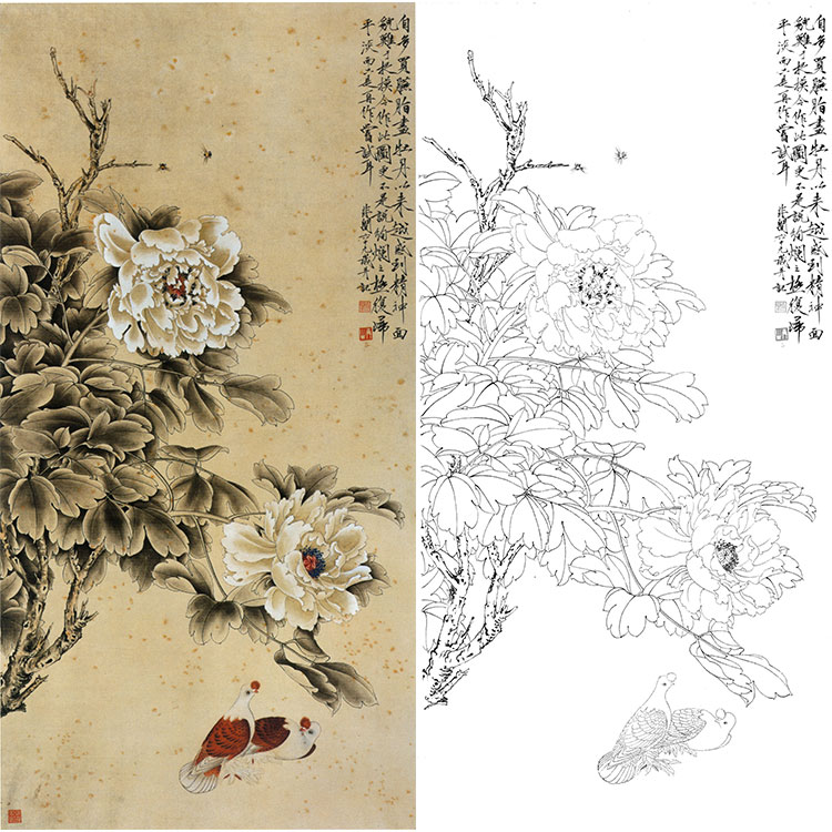 工笔画白描底稿于非闇花鸟牡丹鸽子勾线实物打印稿国画