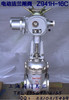 上海滬工-Z941H-16C 多回轉防爆手電壹體電動法蘭閘閥DZW-10 DN65 上海滬工-Z941H-16C 多回轉防爆手電壹體電動法蘭閘閥DZW-10 DN65