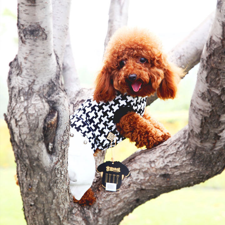 jimmy doll pet clothing small dog puppy dog 6767teddy bichon