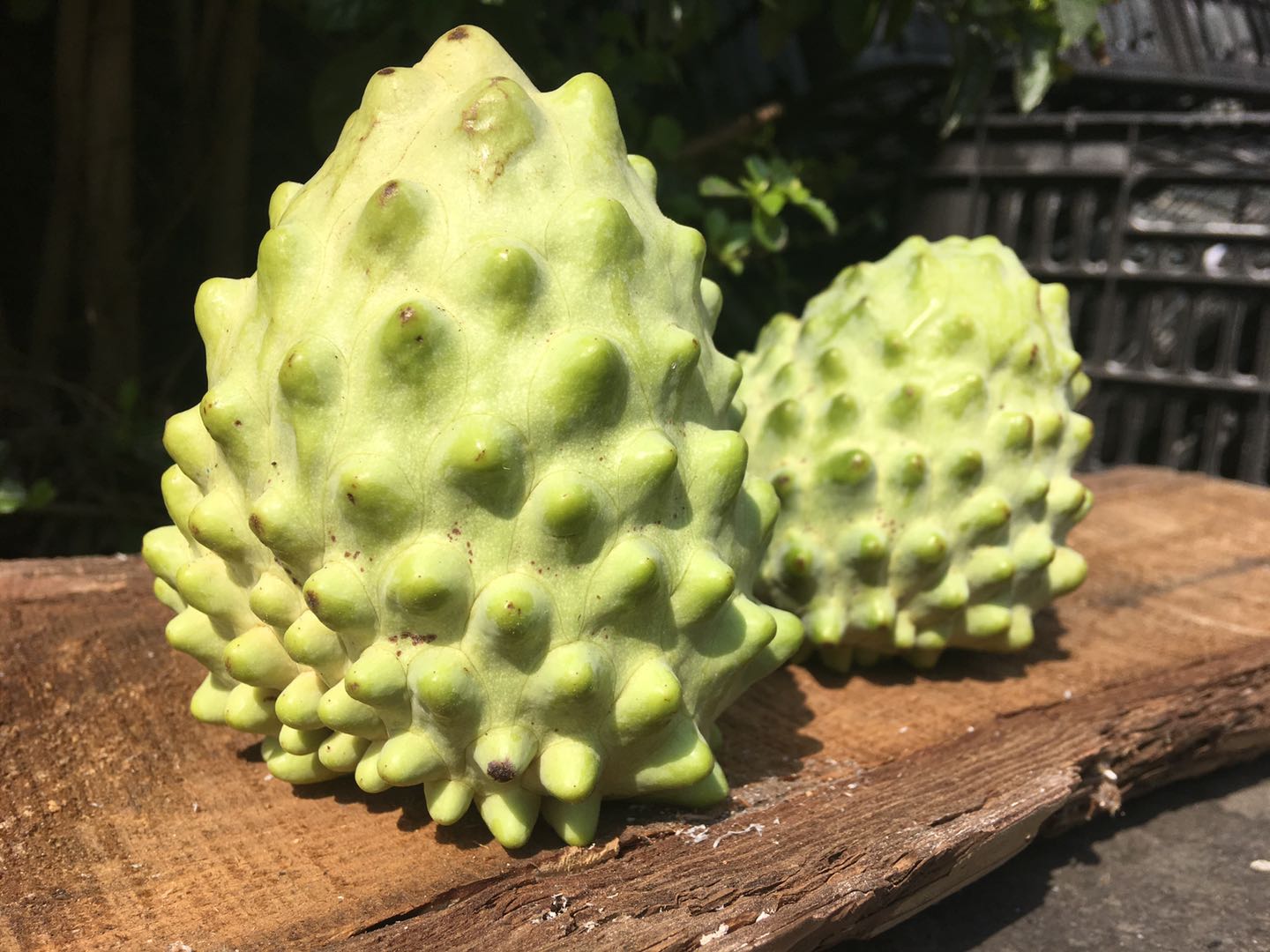 一折番荔枝_牛奶凤梨释迦果攀枝花番荔枝冰淇淋口感3斤5斤新鲜水果