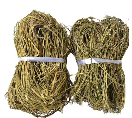 五叶神草的功效与作用图片(五叶神草的功效与作用图片大全)