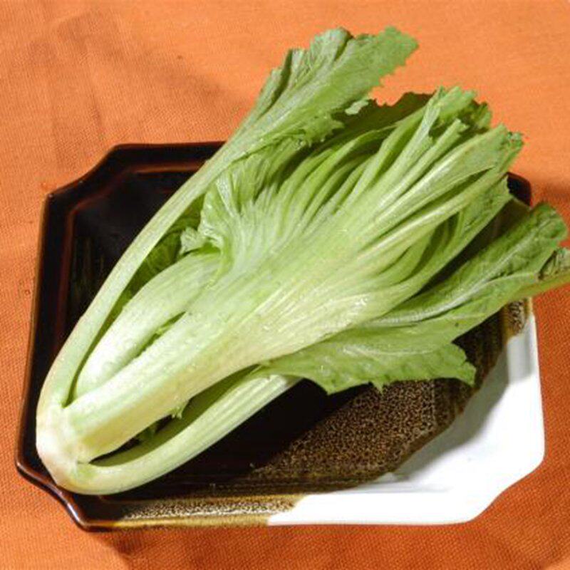 特价青菜蔬菜新鲜农家四川_密云农家新鲜蔬菜盖菜青菜大叶盖菜长生菜