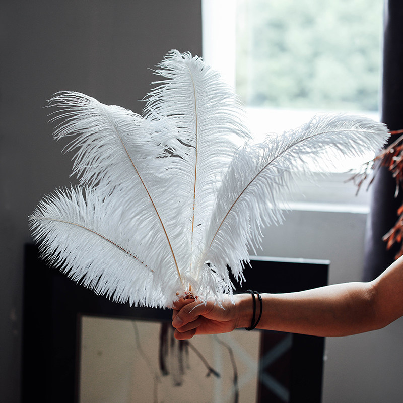 笨拙的象真鸵鸟羽毛手工diy网红店ins风生日装饰品摆件粉色鸵鸟毛