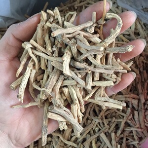 甘肃党参节 黄参 纹党参 上党参 狮头参 中灵草 黄党 500克