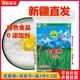 新疆奇台冬小麦天山面粉5kg雪花粉中筋无添加剂包子饺子拉面烘培