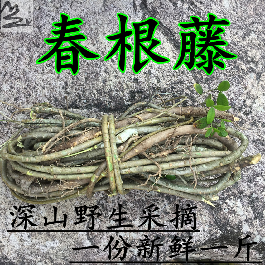 9客家草根汤香藤根满山香药膳煲汤香藤子根野生草药汤25