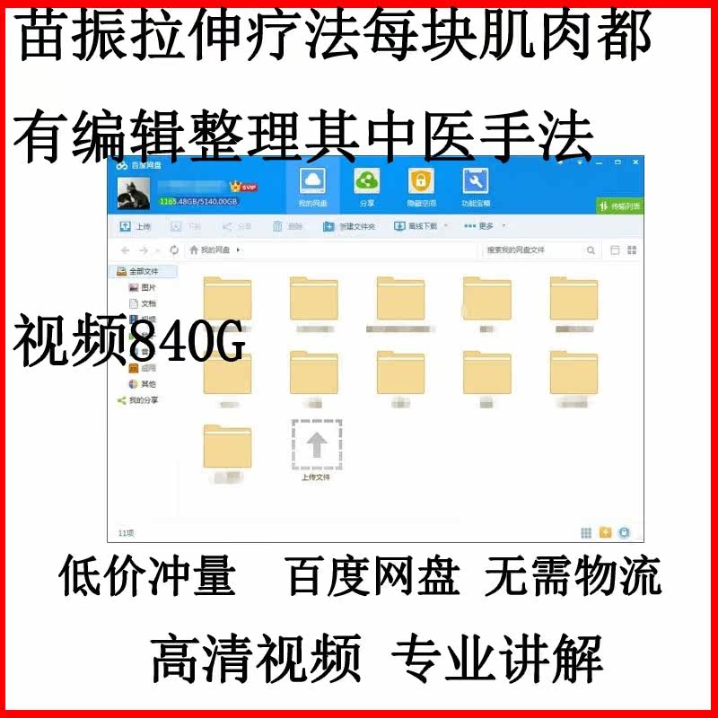 苗振拉伸疗法每块肌肉都有编辑整理其中医手法视频840g