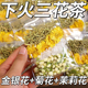 金银花菊花茉莉花茶茶包清火茶下火男女降火凉茶去火茶叶清解热毒