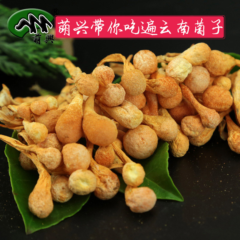 Meng Xing Dried Cordyceps flower Cordyceps Spore Cordyceps Cordyceps Farm specialty 100gin the Traditional nourishing food , New resources of food , Cordyceps category - from Buy2taobao.com to provide professional Taobao agent buy service