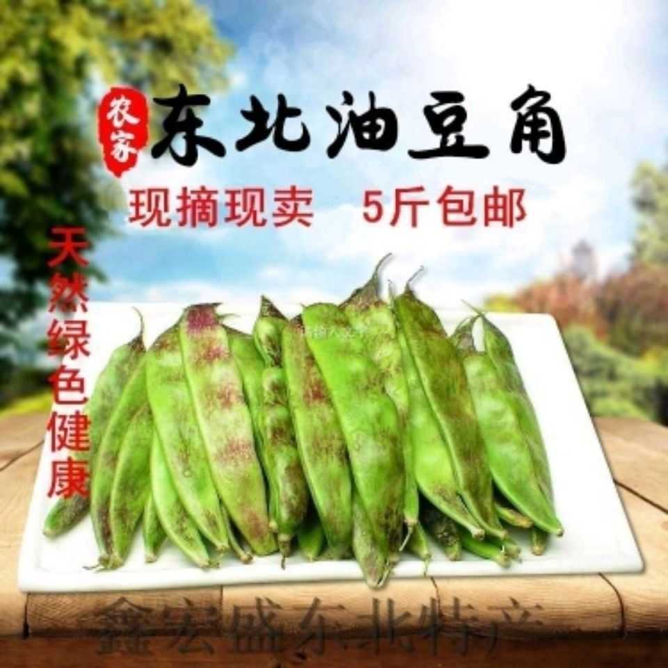 正宗东北油豆角一点红豆角新鲜蔬菜九月青现摘现卖多省包邮5斤