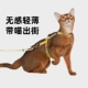 HiDREAM自由探索猫胸背带可调节工字形防挣脱猫咪出行牵引绳套装