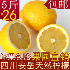 四川安岳柠檬尤力克二级果5斤装 新鲜水果黄柠檬皮薄多汁酸15个