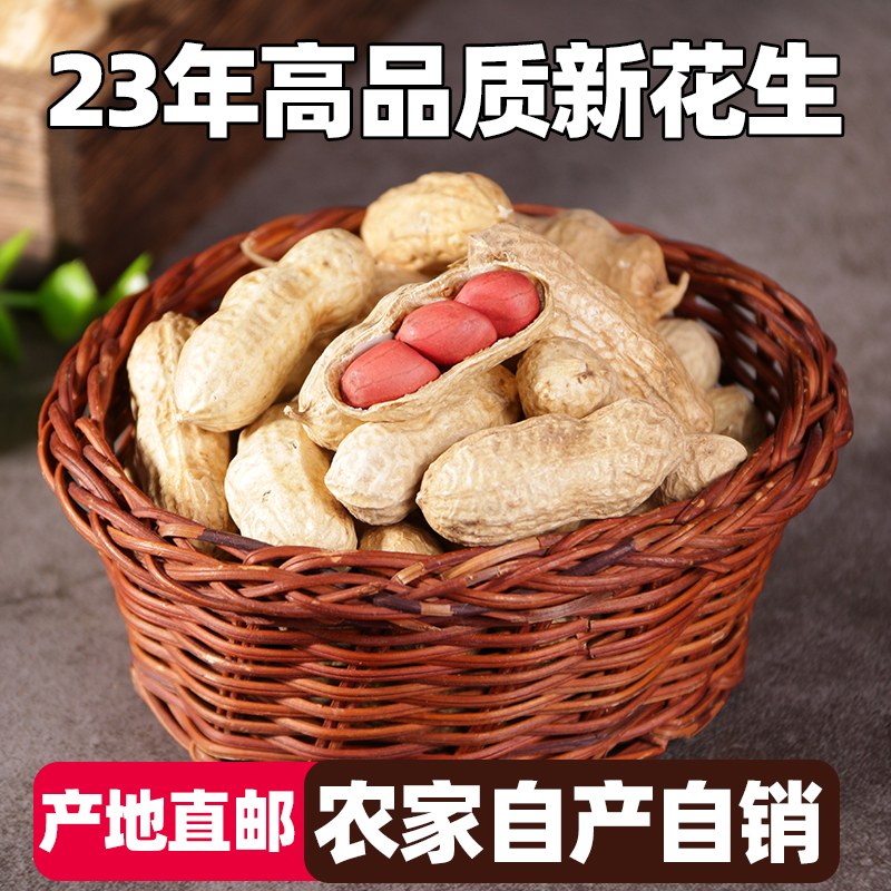 东北特产2023年原味新鲜干红皮生花生带壳四粒红衣下酒菜零食小吃