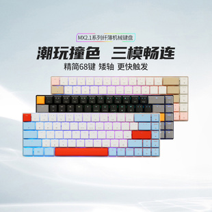 CHERRY樱桃LP2.1/6.1矮轴机械键盘68键三模无线RGB电竞游戏速度银