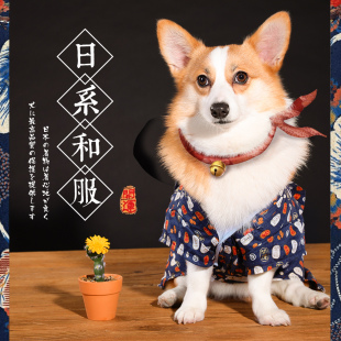 小狗狗衣服柯基雪纳瑞泰迪柴犬中型犬小型犬春夏季薄款宠物的潮牌