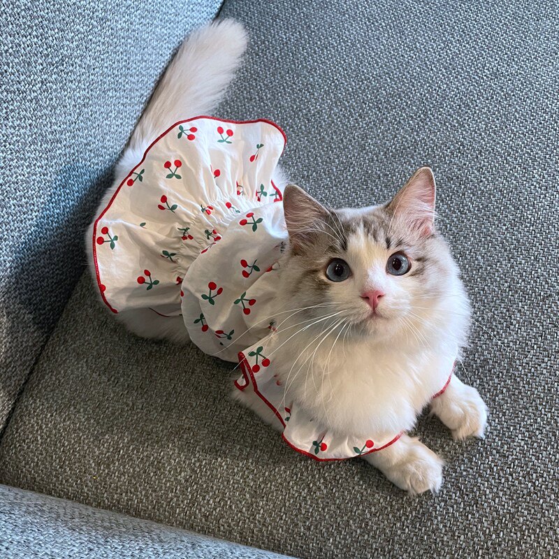 猫咪衣服夏季薄款防掉毛夏天小猫宠物幼猫可爱公主的布偶猫猫裙子
