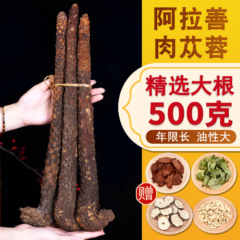 正宗内蒙古阿拉善肉苁蓉500g中药材泡酒切片泡茶锁阳淫羊藿油苁蓉