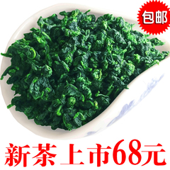 2016新茶铁观音浓香型特级 安溪铁观音秋茶散装500g 新茶1725茶叶