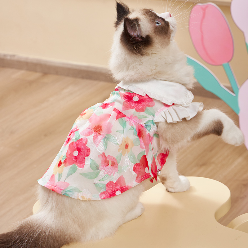 猫咪衣服夏季连衣裙透气薄款幼猫蓝猫布偶猫小猫夏天可爱猫猫裙子在类目 宠物/宠物食品及用品, 宠物服饰及配件, 宠物服装/雨衣中 - 来自Buy2taobao.com提供专业的淘宝代购服务