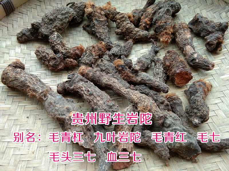 贵州苗药毛青杠九叶岩陀500g野生毛青缸中草药材血三七干货包邮
