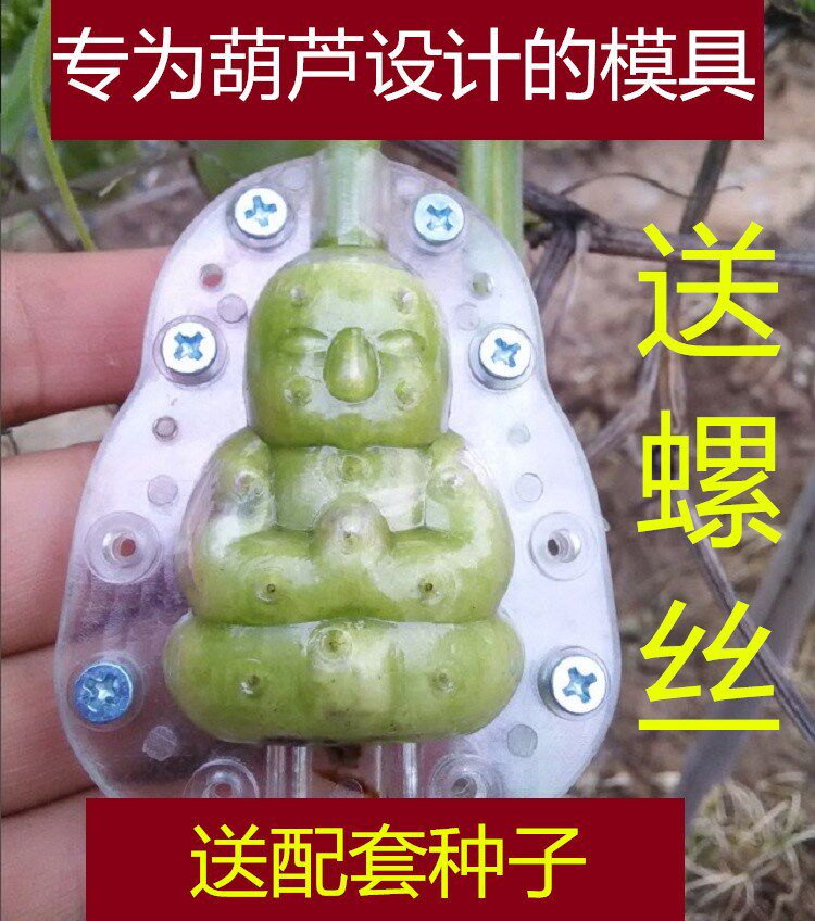 热销葫芦模子_定型葫芦生长范制艺术定型模具葫芦手捻亚腰定型模具套