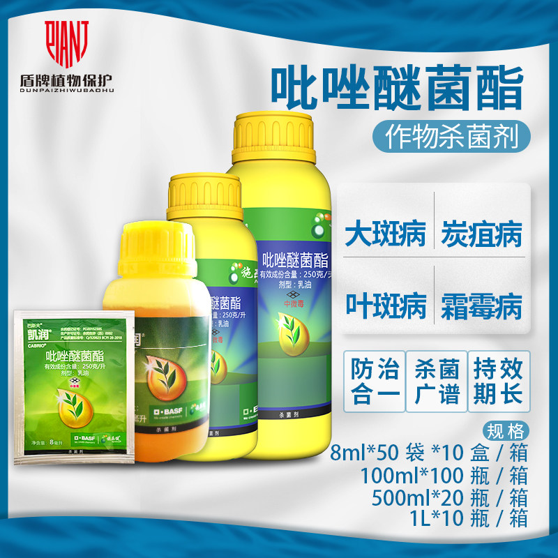 德国巴斯夫 凯润吡唑醚菌酯草坪褐斑病茶树炭疽病农药专用杀菌剂