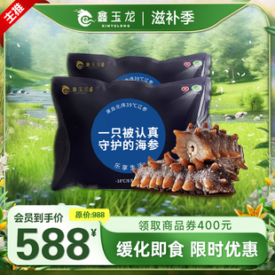 鑫玉龙时鲜即食海参1000克2斤大连孕妇辽参刺参500g*2袋营养补品