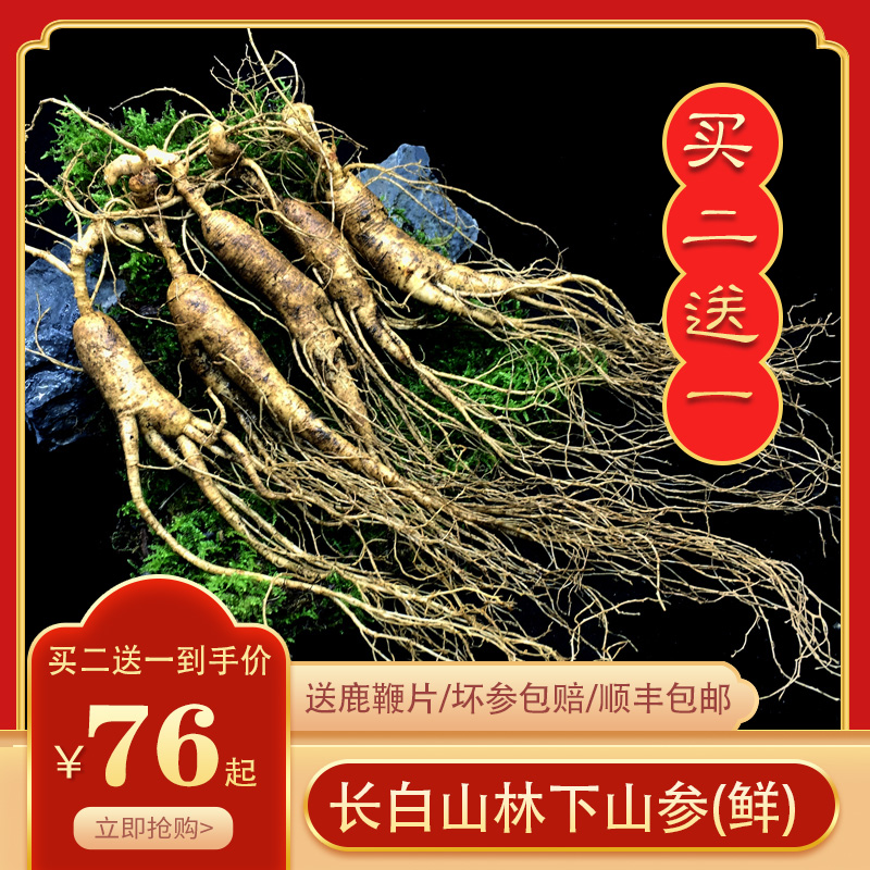 Mudanling Mountain Changbai ginseng Wild ginseng fresh wild Forest Senate Meet the Senate Brewing Wine 21in the Traditional nourishing food , Ginseng tonic , Wild ginseng category - from Buy2taobao.com to provide professional Taobao agent buy service