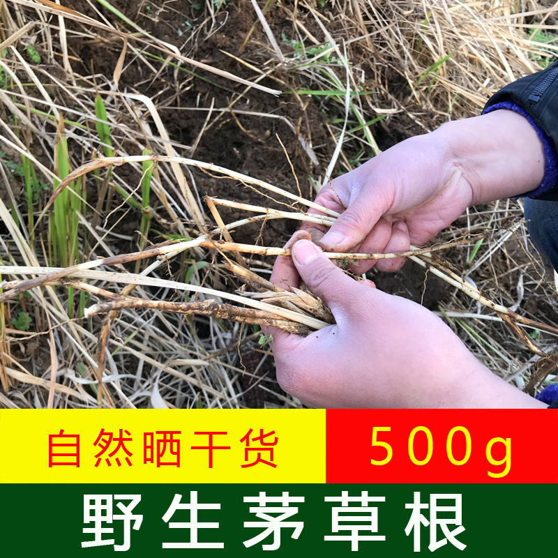 茅草根干货毛草根野生白茅根自然晒干整棵凉茶2023冬新货500g包邮