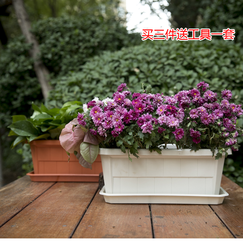 家庭園藝塑料樹脂加厚長方形種植盆仿木紋陽台養花盆送托盤在類目 鮮花速遞/花卉仿真/綠植園藝, 花瓶/花器/花盆/花架(新), 花盆中 - 來自Buy2taobao.com提供專業的淘寶代購服務
