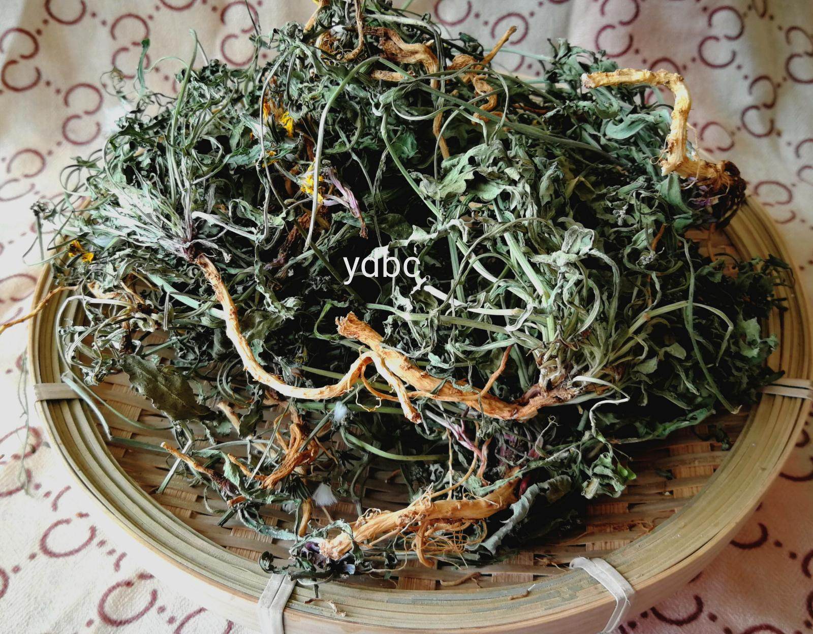 山东野生苦菜干整株苦麻子干全草带根原味小叶苦荬菜100克包邮