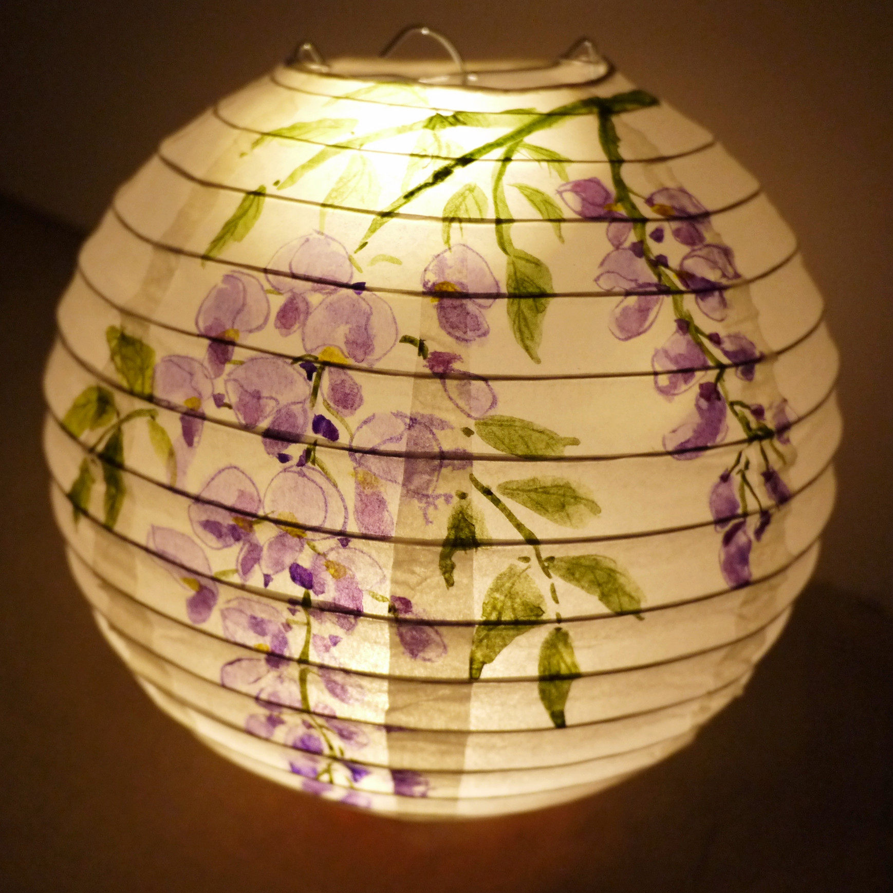 西塘汉文化周紫藤手绘纸灯笼灯罩古风汉服手提花灯中国风摄影道