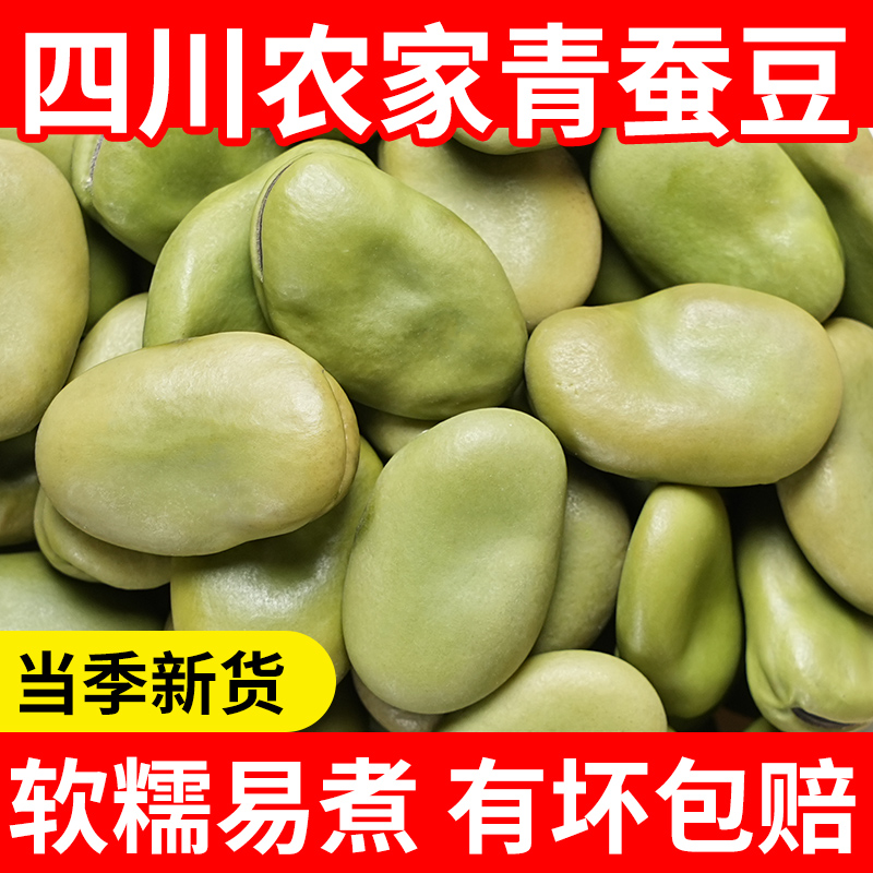 青皮蚕豆新货5斤农家自种绿皮干蚕豆