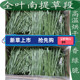2025新烘干全叶南提提摩西干草包邮兔子龙猫荷兰猪饲料粮食包邮