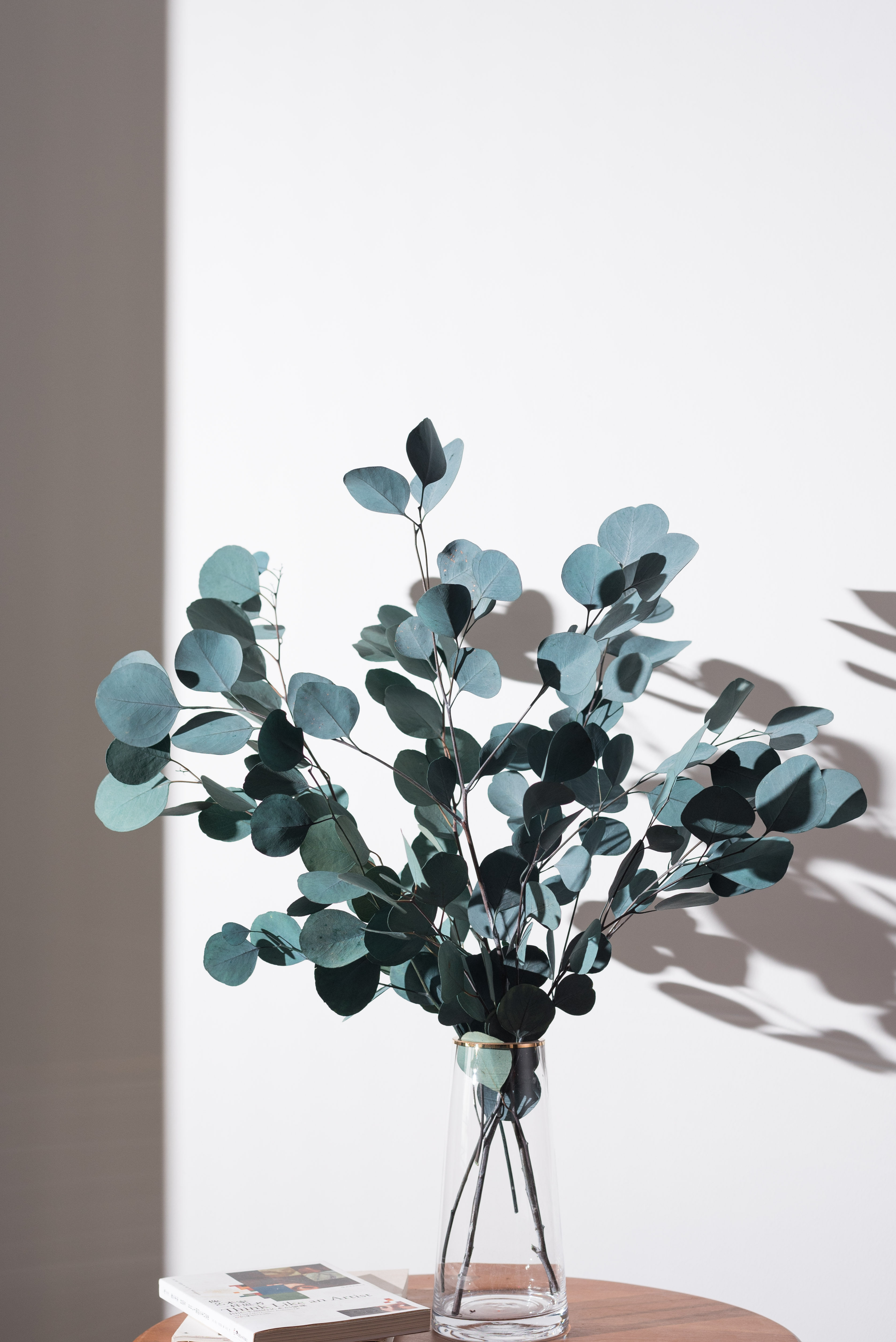 进口苹果干_淘宝进口苹果干多少钱/图片/品牌/精选-寻折猪