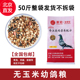 美顿宝战鸽无玉米鸽粮50斤鸟食肉成赛鸽斑鸠信鸽饲料保健砂沙营养