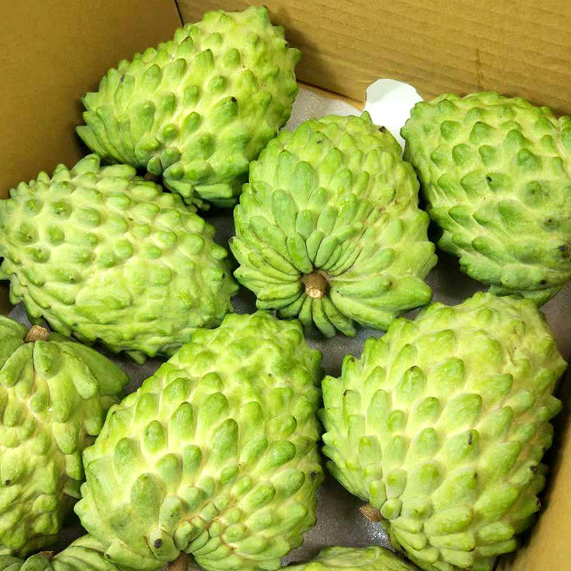 台湾释迦果新鲜凤梨释迦进口孕妇水果香甜多汁4斤番荔枝当季包邮