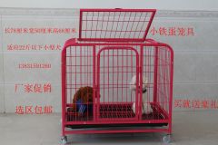 促销狗笼子泰迪狗笼狗窝方管宠物狗笼中型犬小型金毛比熊狗笼