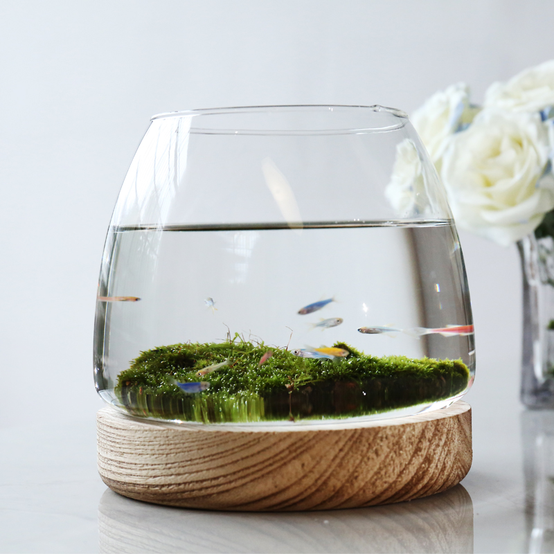 创意玻璃圆形金鱼缸斗鱼缸生态迷你缸客厅办公室桌面小型透明家用