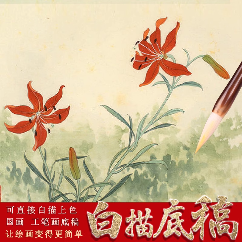 工笔画白描底稿临摹练习初学者入门国画水彩花鸟牡丹勾线熟宣宣纸